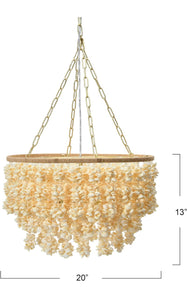 Shell Style Chandelier