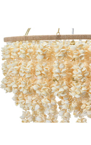 Shell Style Chandelier